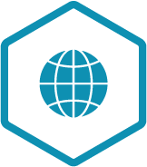 websiteIcon